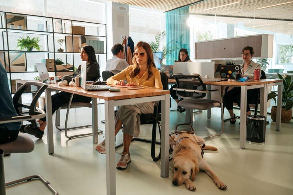 Mimub Normalización de la Discapacidad: Adecco Insta a Empresas a Adoptar Perspectivas Inclusivas