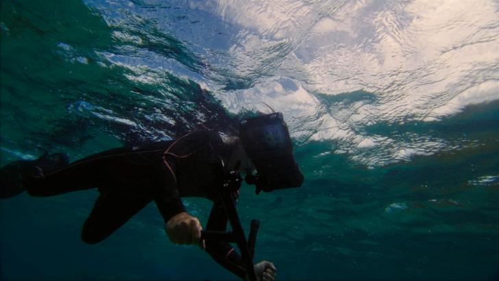 Mimub Samsung Refuerza su Compromiso con los Océanos a Través de la Tecnología Galaxy