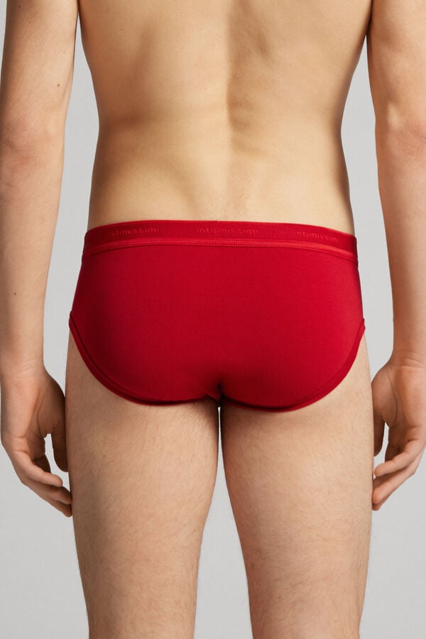 Intimissimi Calzoncillo para hombre slip en algodón superior