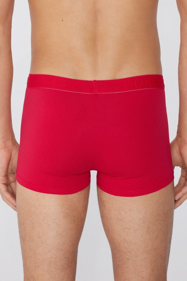 Tezenis Bóxer De Algodón Orgánico Con Costuras En Contraste Con Logo