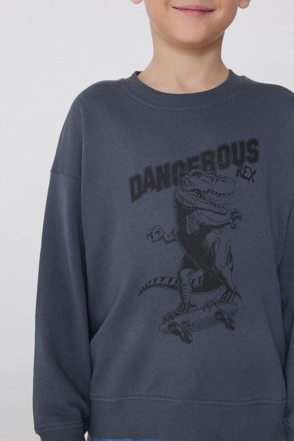 Tezenis Sudadera Manga Larga Con Estampado Para Niño