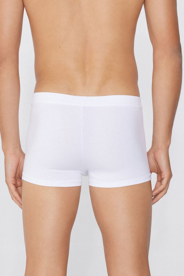 Tezenis Bóxer De Algodón Elástico