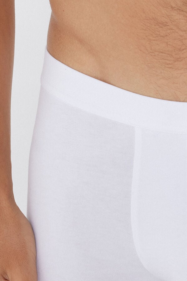 Tezenis Bóxer De Algodón Elástico