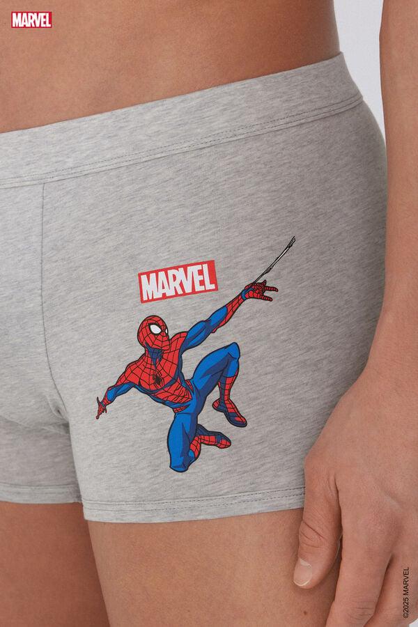 Tezenis Bóxer De Algodón Estampado Avengers