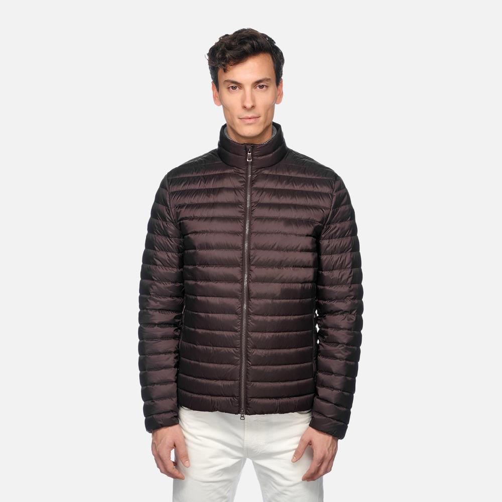 Geox Warrens Hombre M4625DT3146F6227 Plumífero Corto