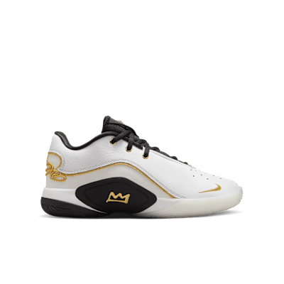 Nike LeBron XXII SplitZapatillas De Baloncesto - Niño/a