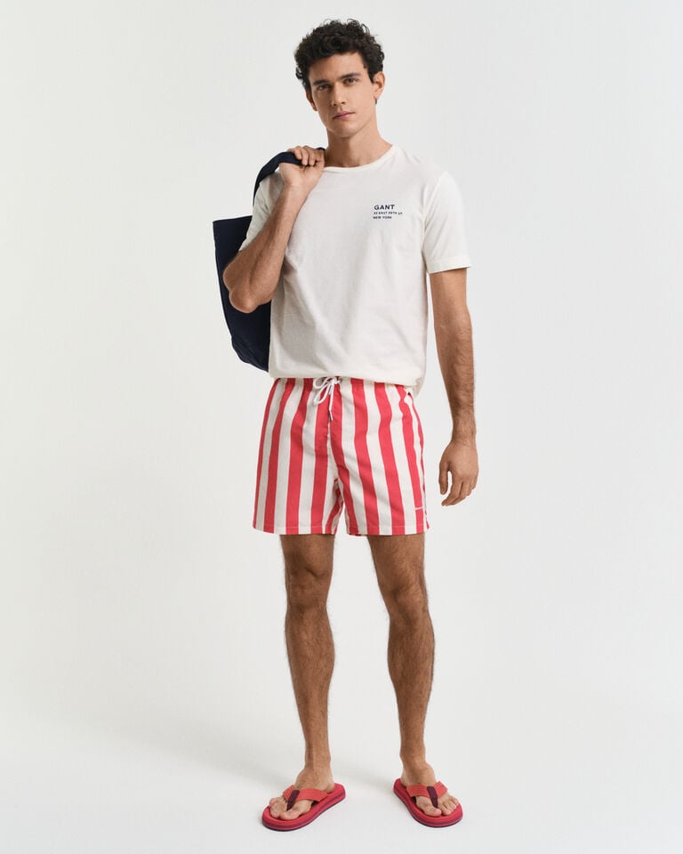 Gant Bañador con rayas en bloque