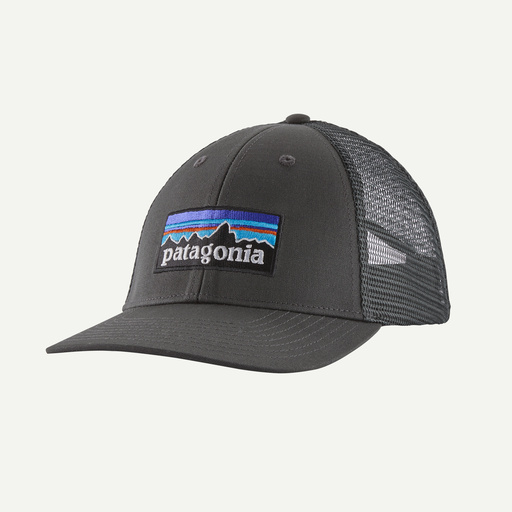 patagonia Gorra P-6 Logo LoPro Trucker Hat