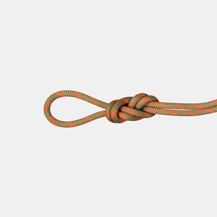 mammut 8.0 Alpine Dry Rope 50m