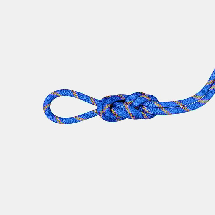 Mammut 9.0 Alpine Sender Dry Rope