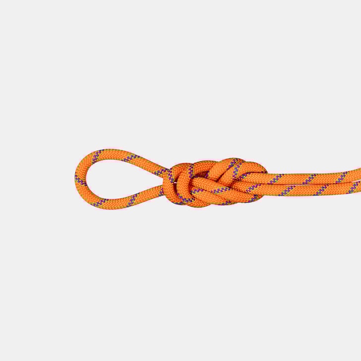 mammut 9.0 Alpine Sender Dry Rope 50m