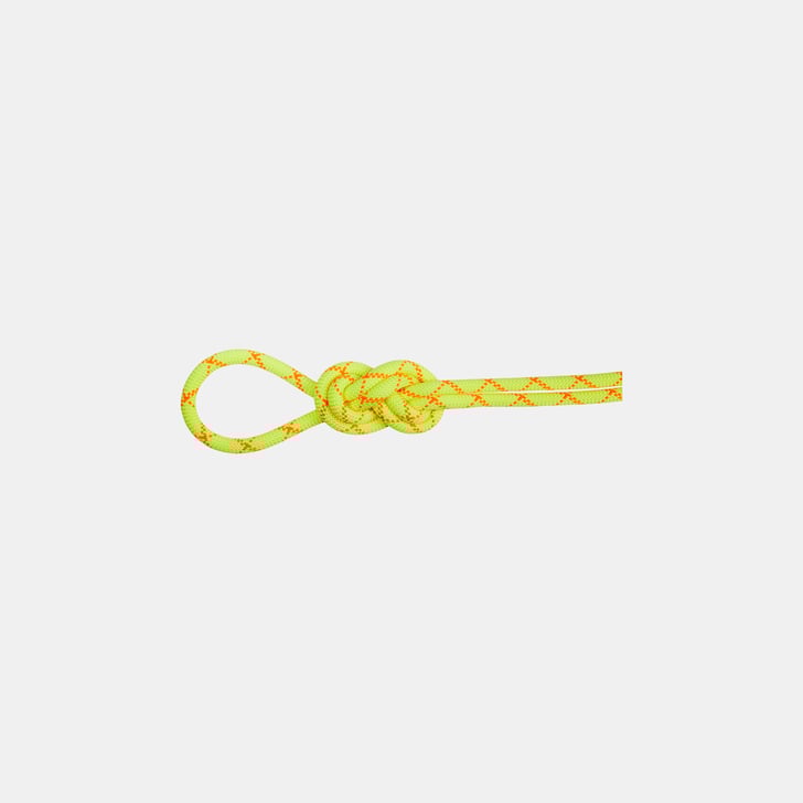 mammut 9.5 Alpine Core Protect Dry Rope