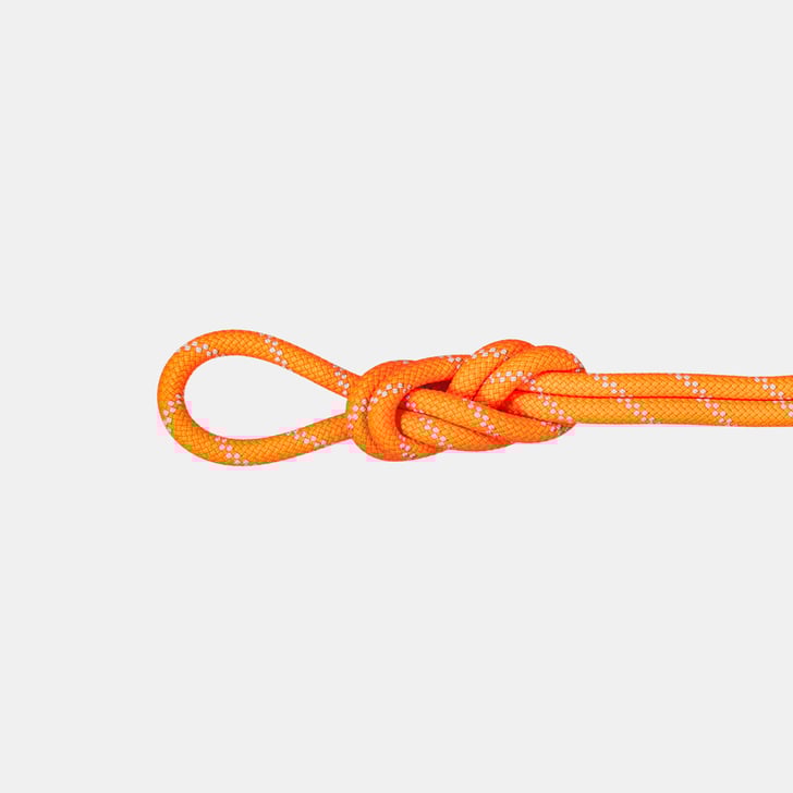 Mammut 9.5 Alpine Dry Rope 70m