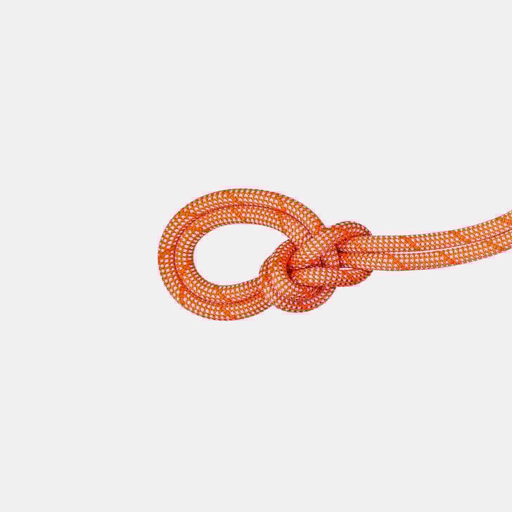 mammut 9.8 Crag Classic Rope