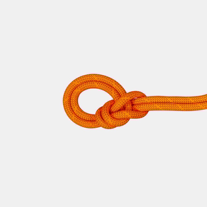 mammut 9.8 Crag Dry Rope 70m