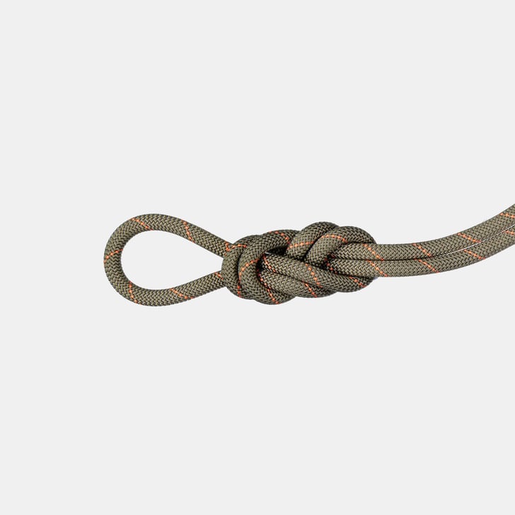 Mammut 9.9 Gym Workhorse Classic Rope 30m