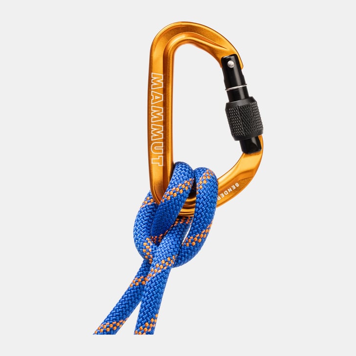 Mammut Sender Screwgate Carabiner