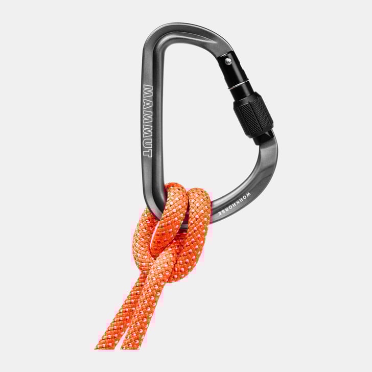 Mammut Workhorse HMS Screwgate Carabiner