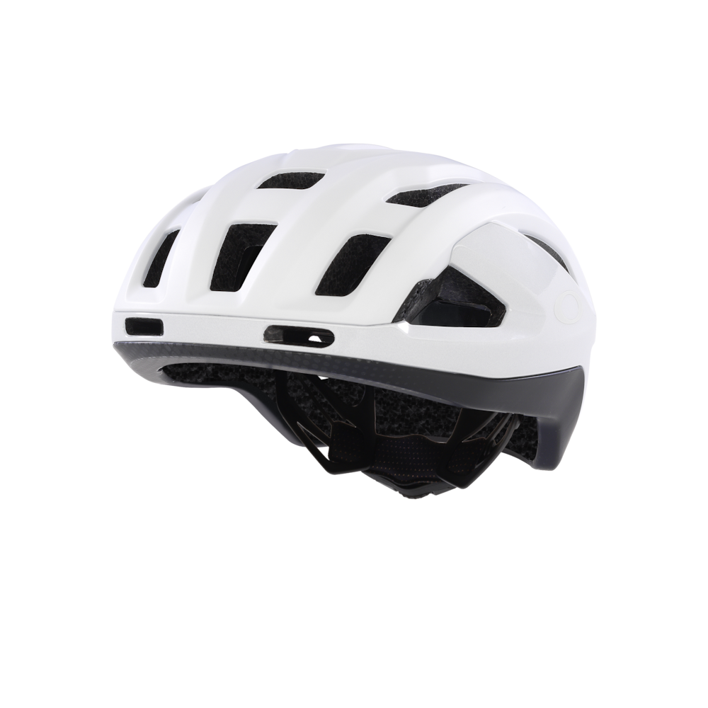 Oakley Oakley ARO3 ENDURANCE I.C.E